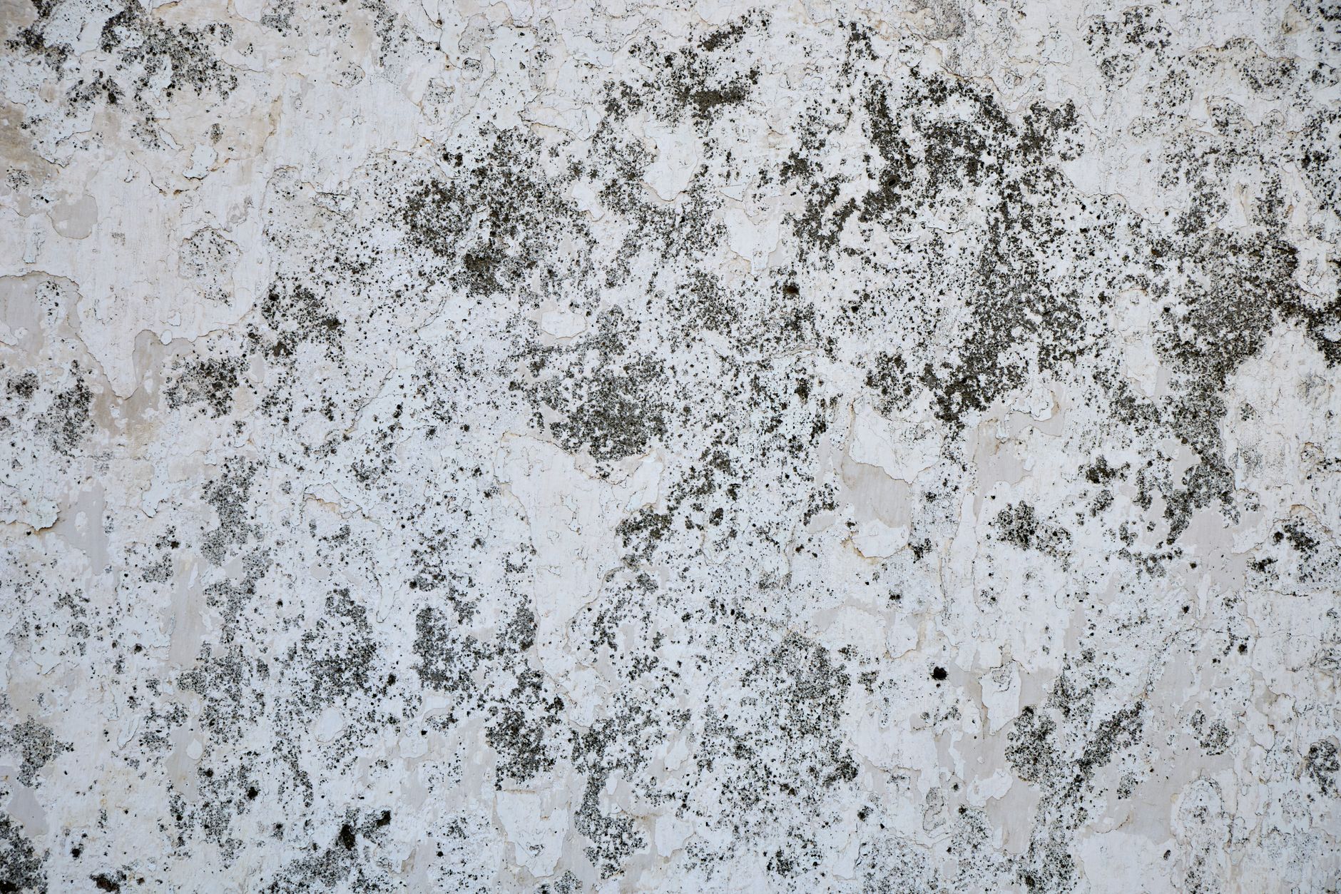 Dealing with Persistent Stains on Your Rental Property Walls: A Complete Guide