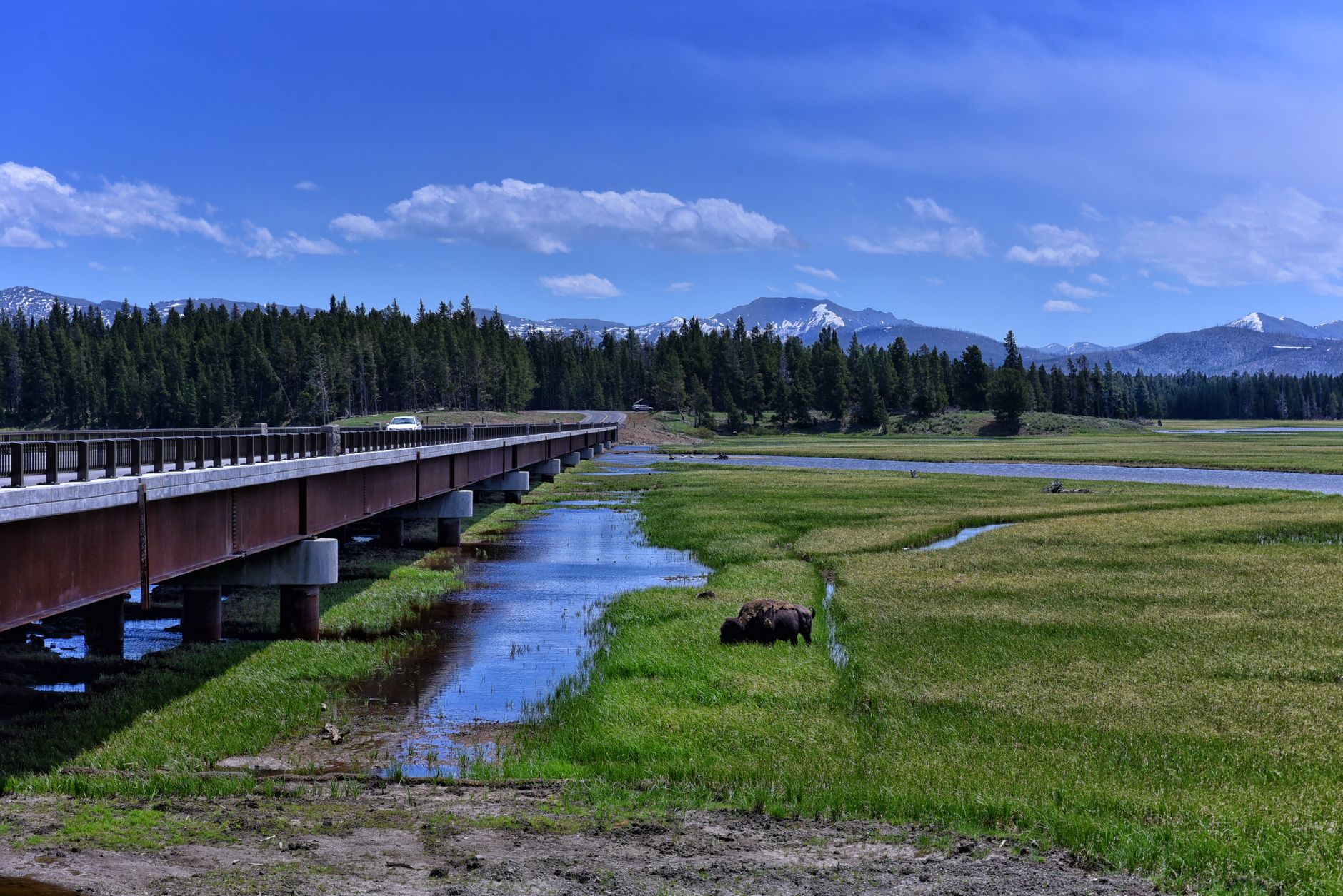 O’DonnellBrown bridges conservation and community design