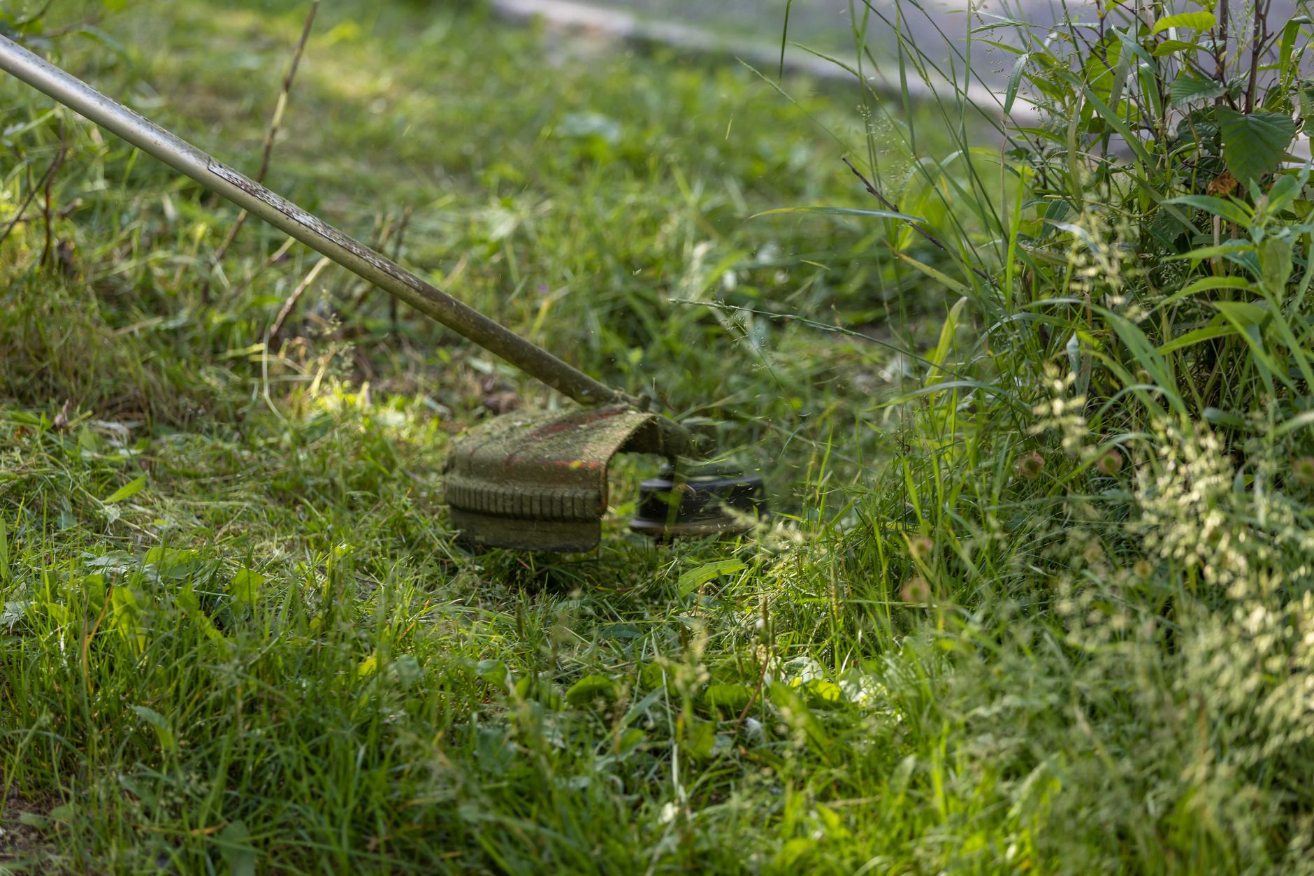 Scythes Make a Comeback in Lawn Care