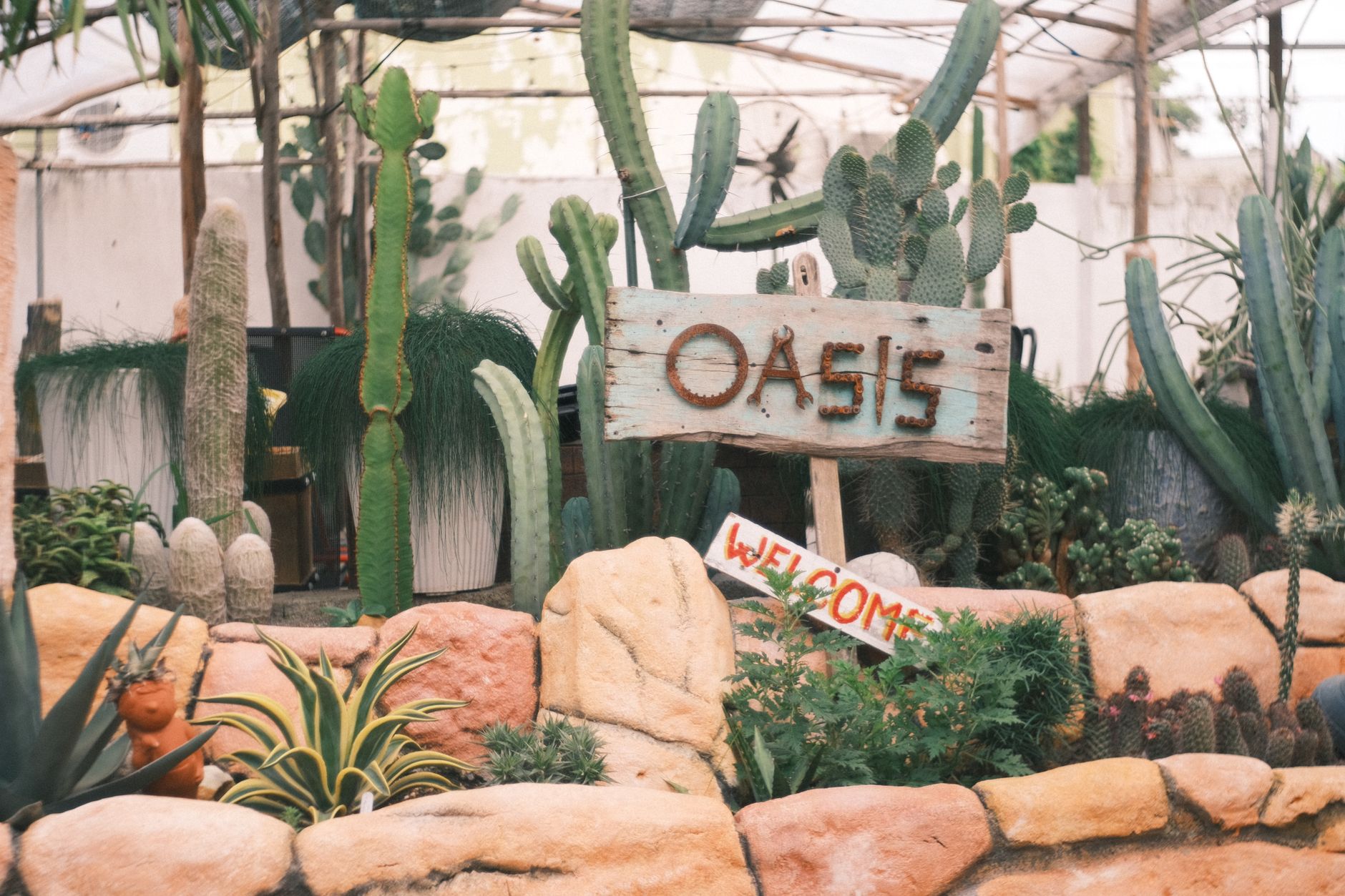 Frenchman nurtures serene garden oasis