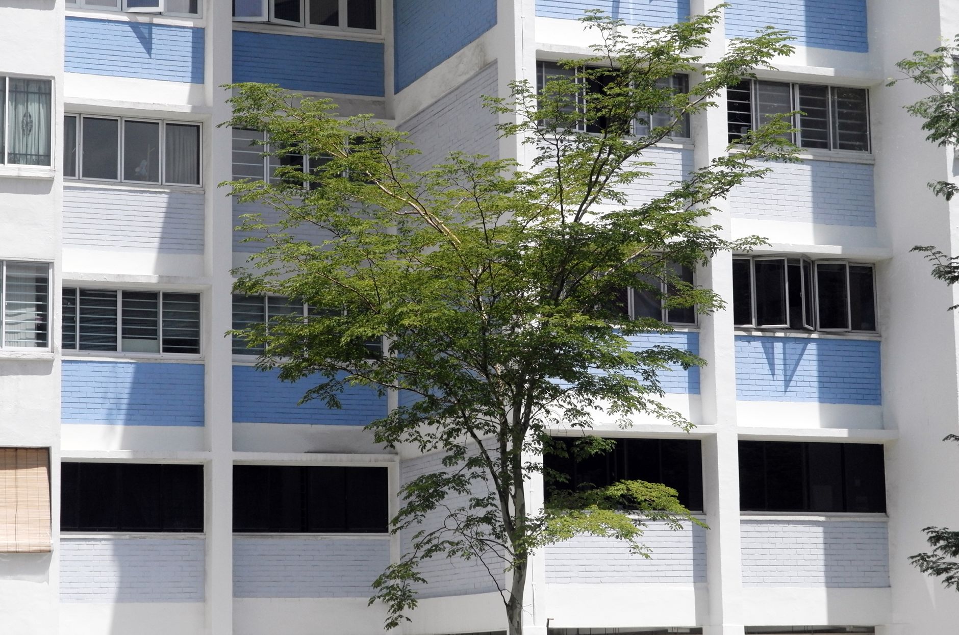 Singapore’s HDB flats shape urban living