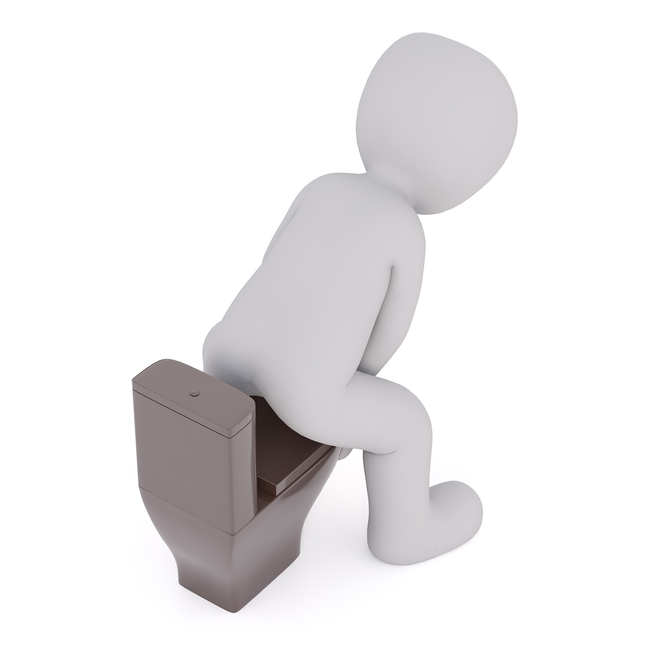 How Long After Installation Can a Toilet Be Used?