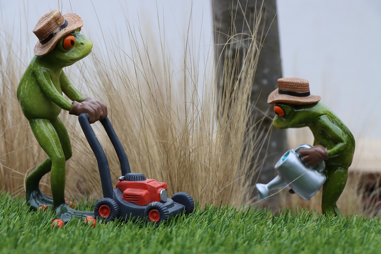 Tips on lawn maintenance