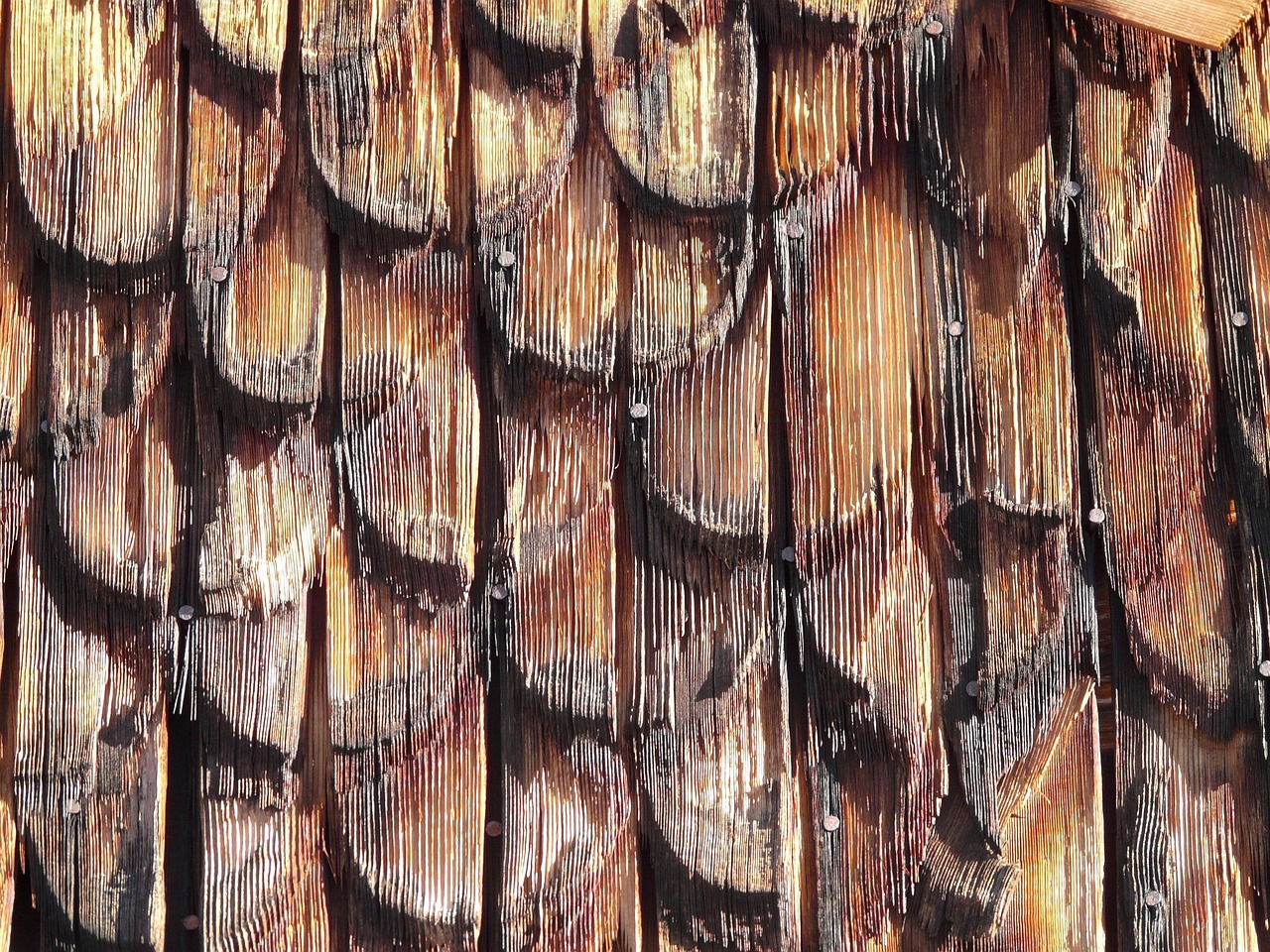 Types of Woods Commonly used for Cladding