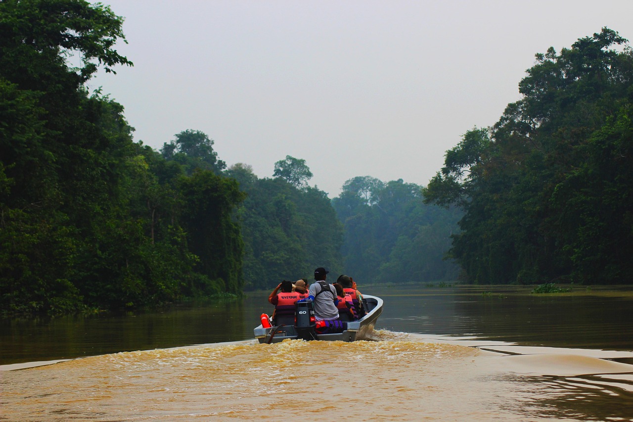 Descubre la Magia de Río Kinabatangan