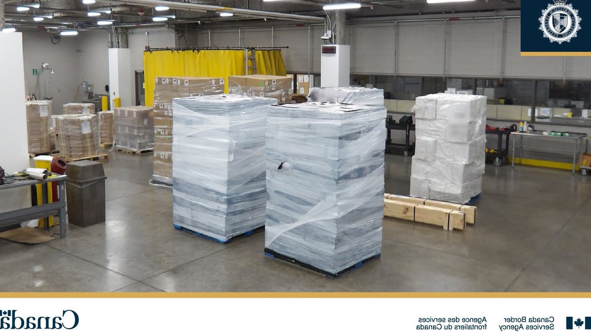 Millions in vapes seized at border Millions in vapes seized at border - vapes seized