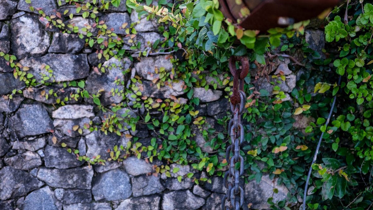 Cleaning Historic Structures Without Damaging Them Cleaning Historic Structures Without Damaging Them - historic structures cleaning