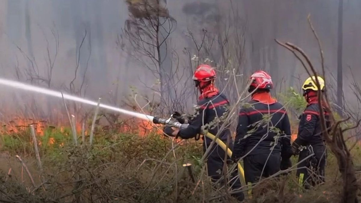 Wildfires rage as EU weakens nature’s shield - eu wildfires