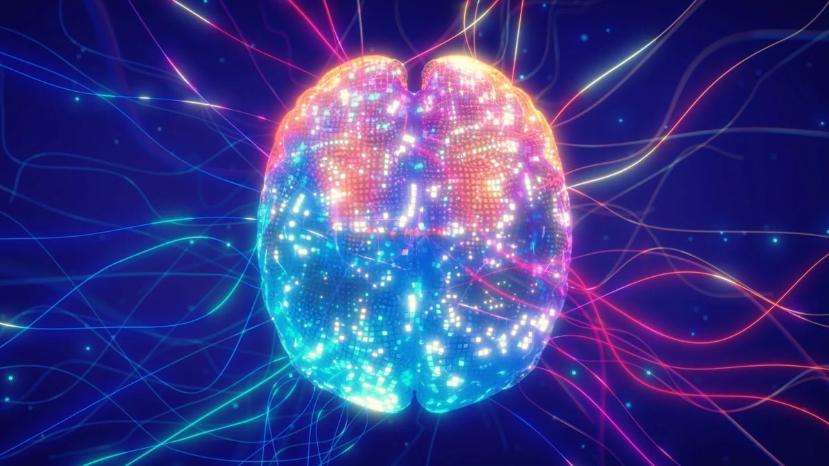 Brain Information Hub Secrets Uncovered - brain information flow