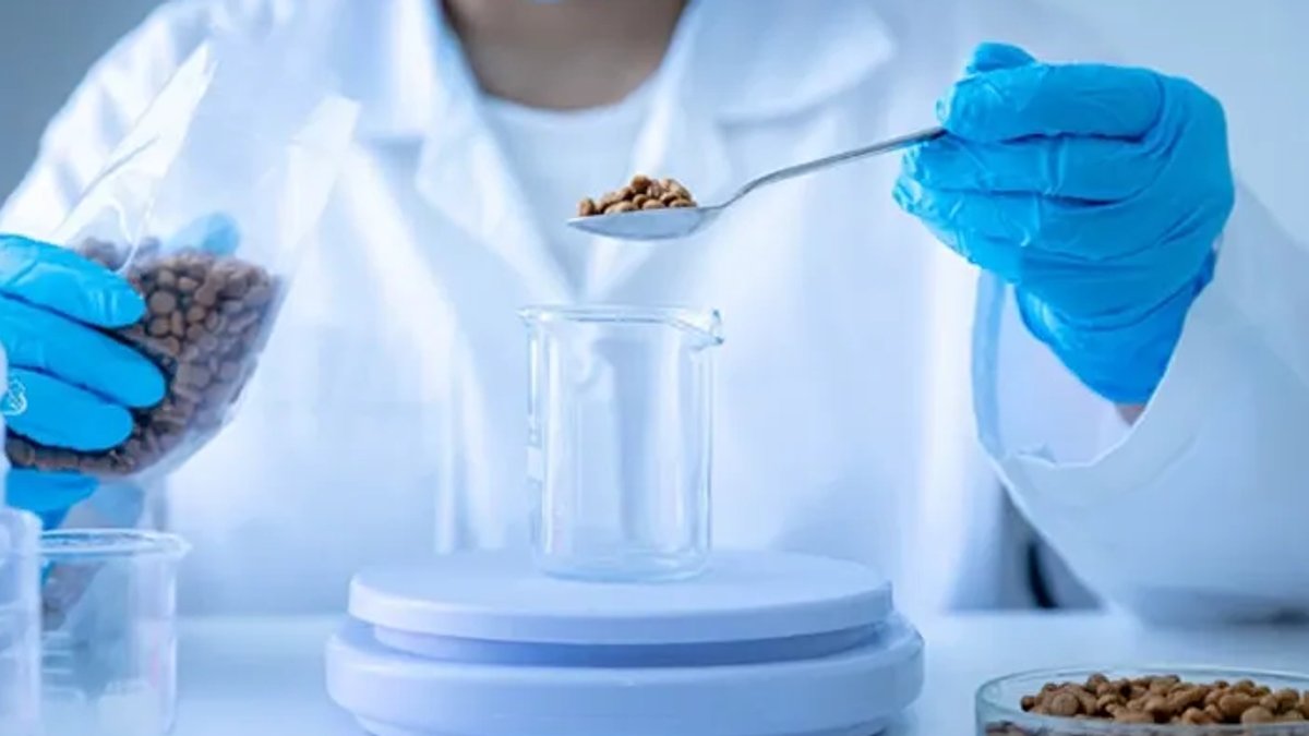 Study finds rare minerals in dog food - dog food minerals