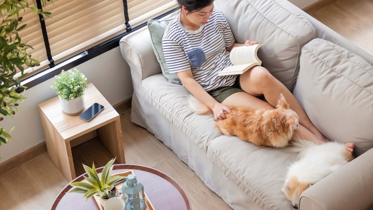 Pet Owners Choose Practical Home Materials Pet Owners Choose Practical Home Materials - pet friendly home