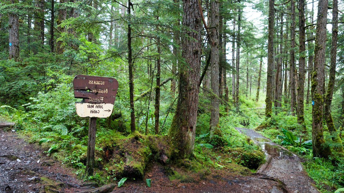 Rollback of Roadless Rule Endangers Wildlife and Water - roadless rule