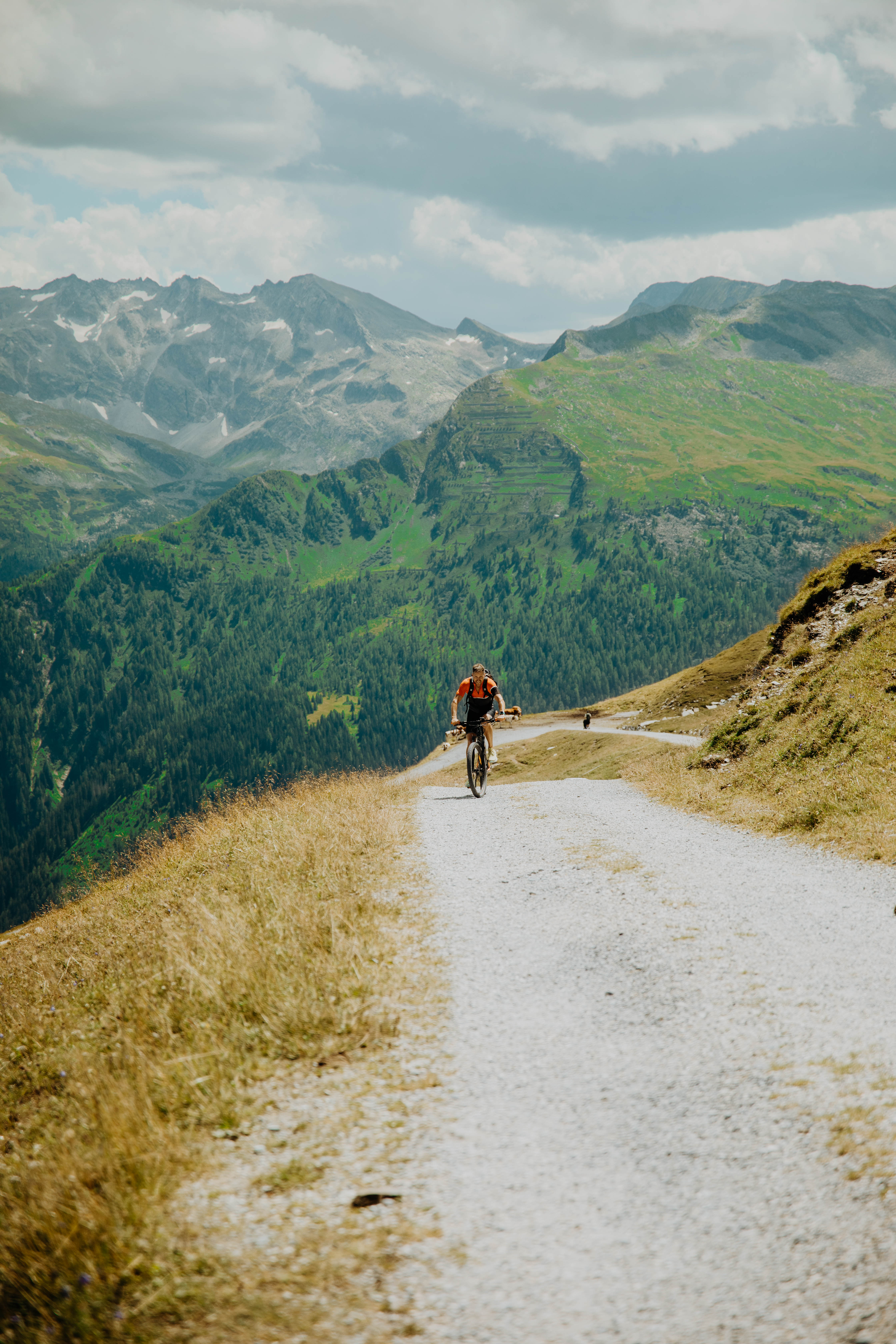 Cycling and mountain biking in the Gastein Valley