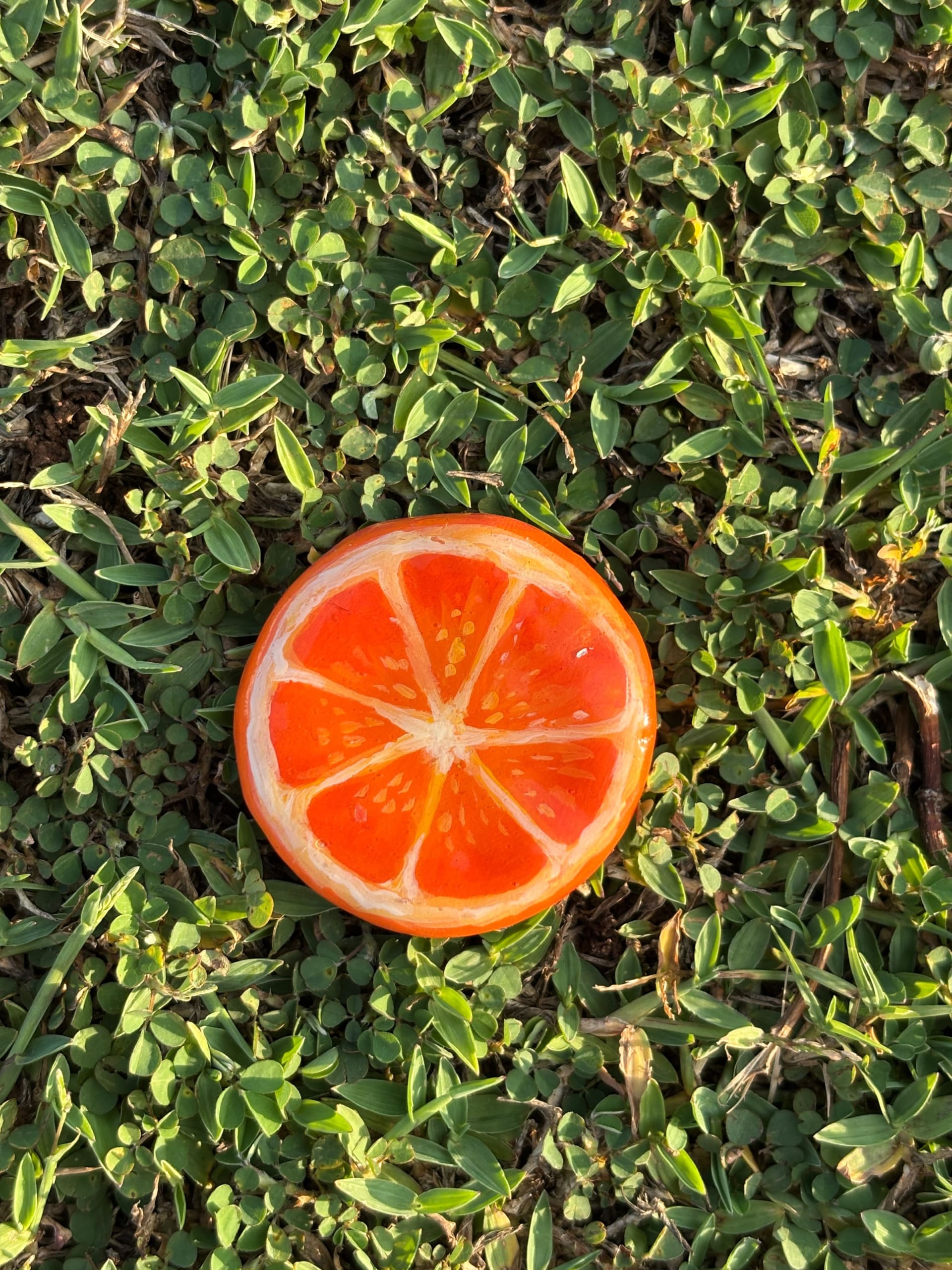 A smooth round river stone hand-painted with a vibrant, detailed sliced orange illustration, set against a green grass background.