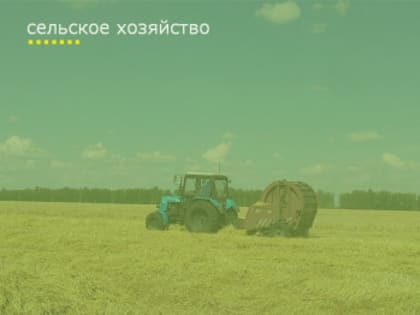 Полевой дневник