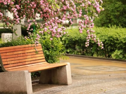 Всемирный день борьбы с аллергией отмечается 8 июля