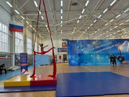 В Каменске воздушные гимнасты покоряли «Высоту»
