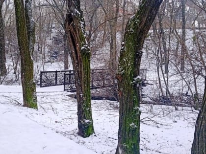 Погода в Таганроге 26 января: пасмурно, +3°, дождь со снегом