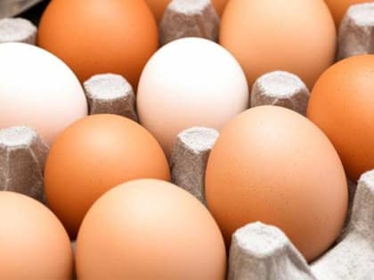 Минсельхоз: Отпускные цены на яйца начали снижаться