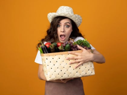 Стоимость продуктовой корзины в Таганроге и Ростовской области продолжает увеличиваться