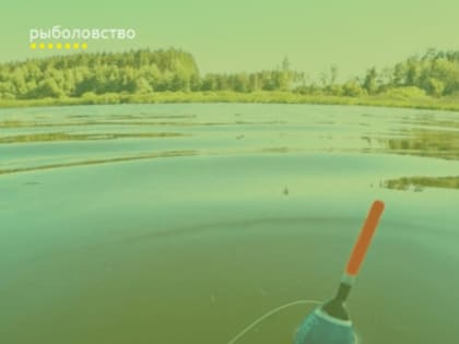 Регулирование любительского рыболовства в Кагальнике