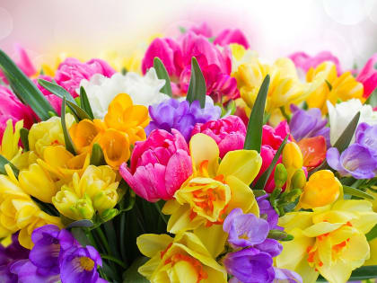 В канун 8 Марта в Ростове сильно подорожали цветы