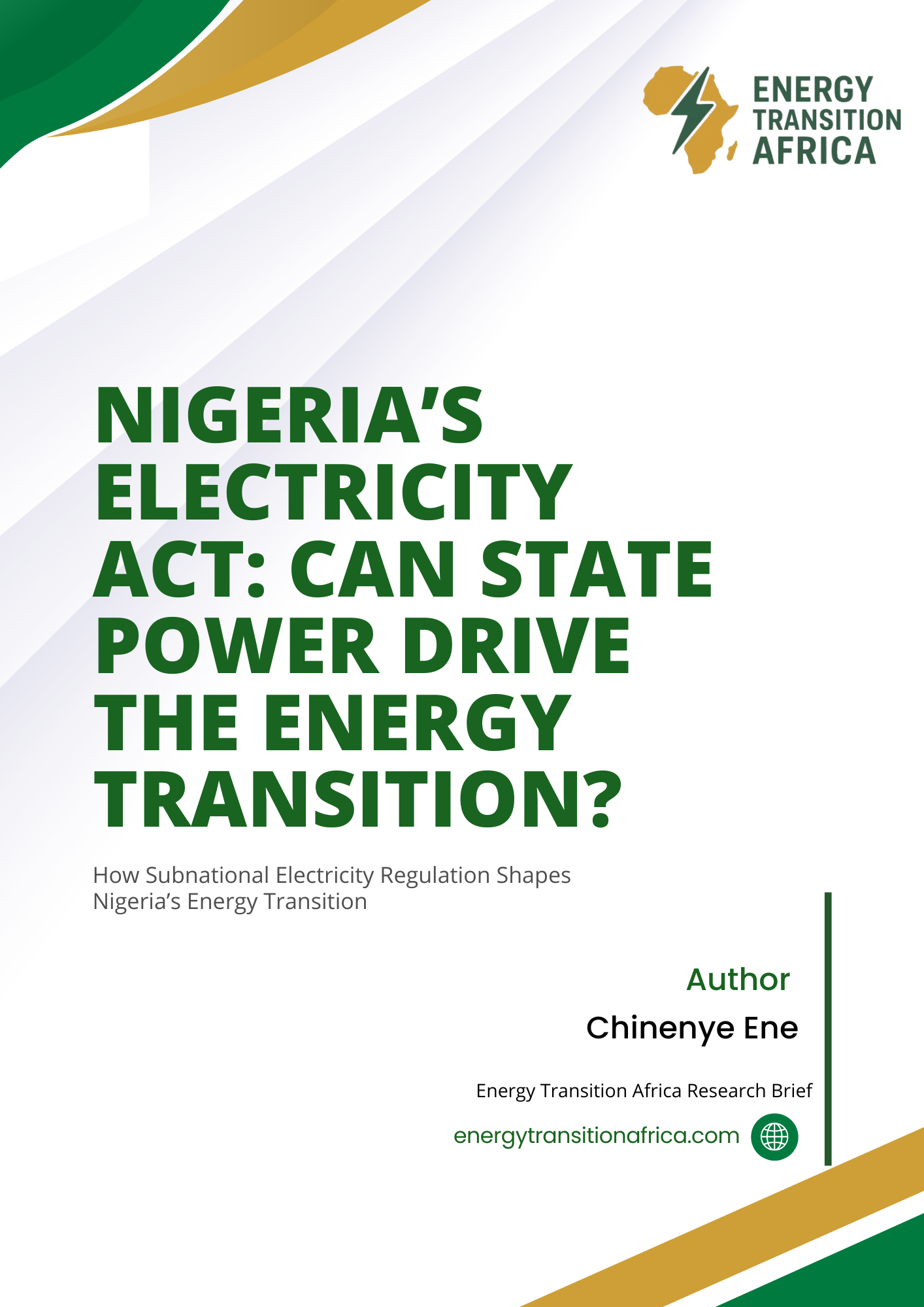 Nigeria’s Electricity Act: Can State Power Drive the Energy Transition?