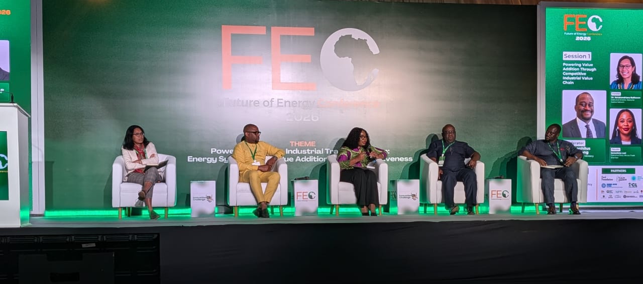 Five Countries Capture Most of Africa's Energy Finance
