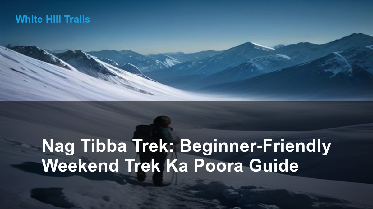 Nag Tibba Trek: Beginner-Friendly Weekend Trek Ka Poora Guide