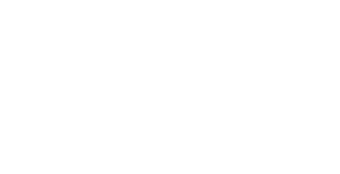 Amini Global Logo