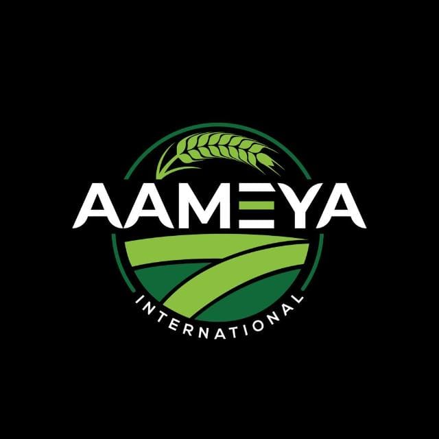 AAMEYA INTERNATIONAL Logo