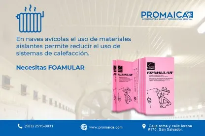 Post de instagram sobre la importancia de utilizar Foamular