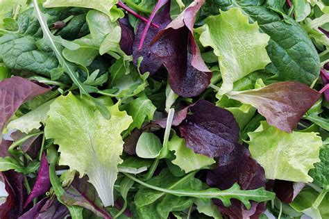 Mesclun