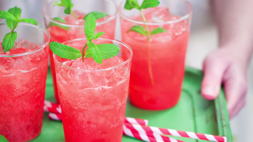 Refresh Your Summer with This Schweppes Watermelon Mint Tonic Water Recipe