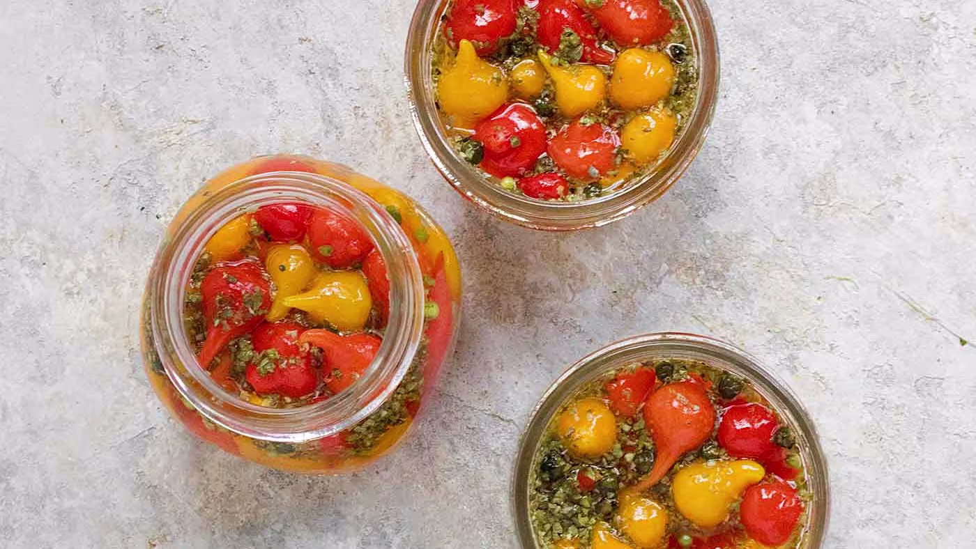 Step by Step Instructions For peppadew pickle recipe