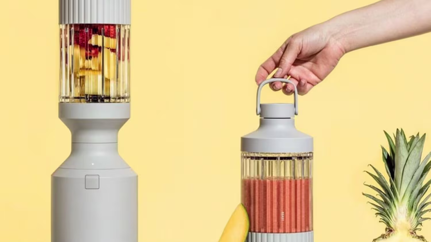 Step by Step Instructions For beast blender recipes healthy