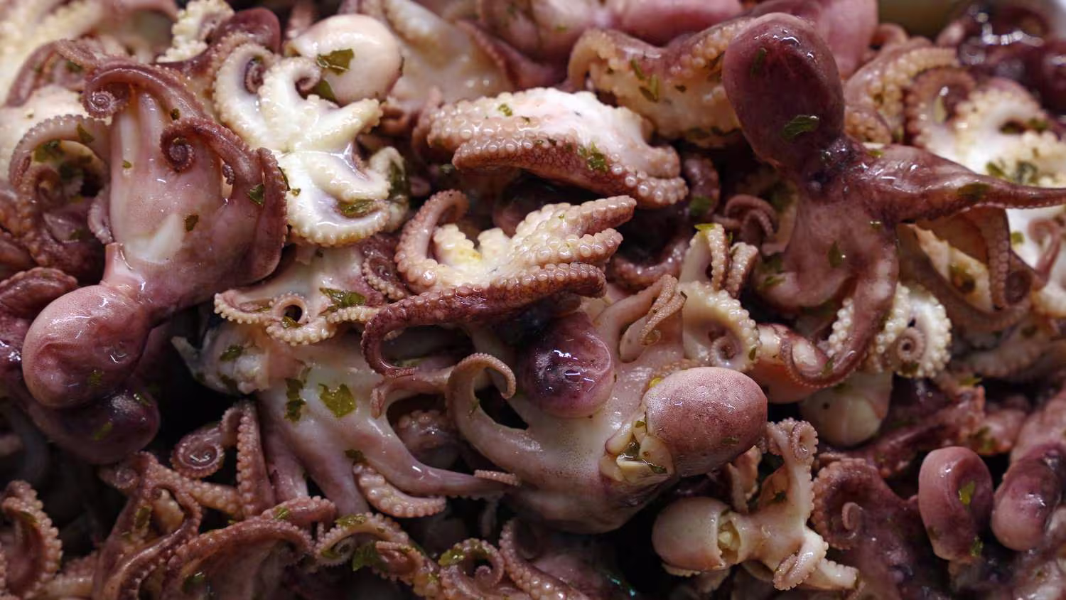 Dietary Considerations of pickled octopus recipe