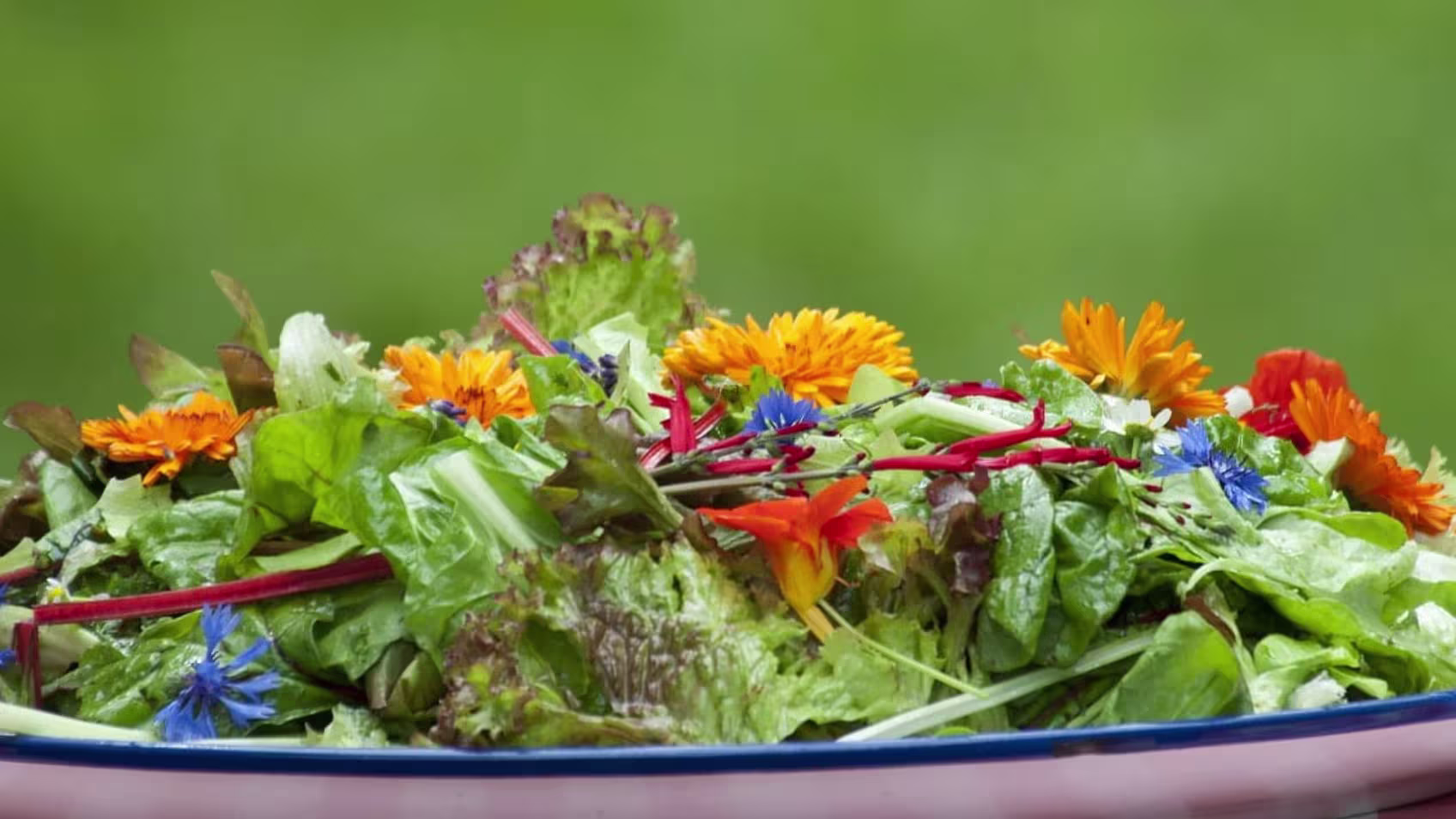 Step by Step Instructions For salad recipes nz
