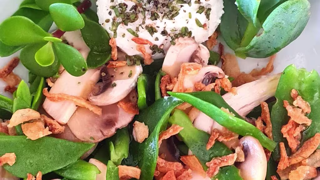 Delicious Spekboom Recipes: Transform Your Meals with This Nutrient-Packed Plant