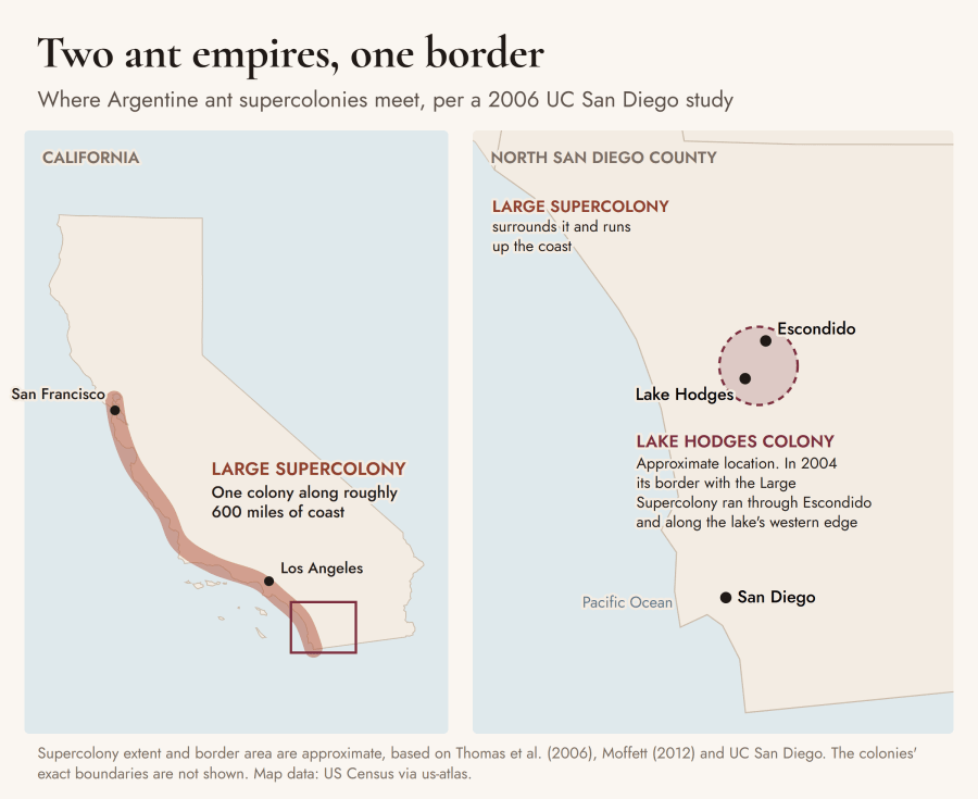 Two-panel map. Left: California with a shaded band along the coast from San Francisco to the Mexican border marking the Large Supercolony. Right: north San Diego County with San Diego, Escondido and Lake Hodges marked, and a dashed circle showing the approximate location of the rival Lake Hodges colony.