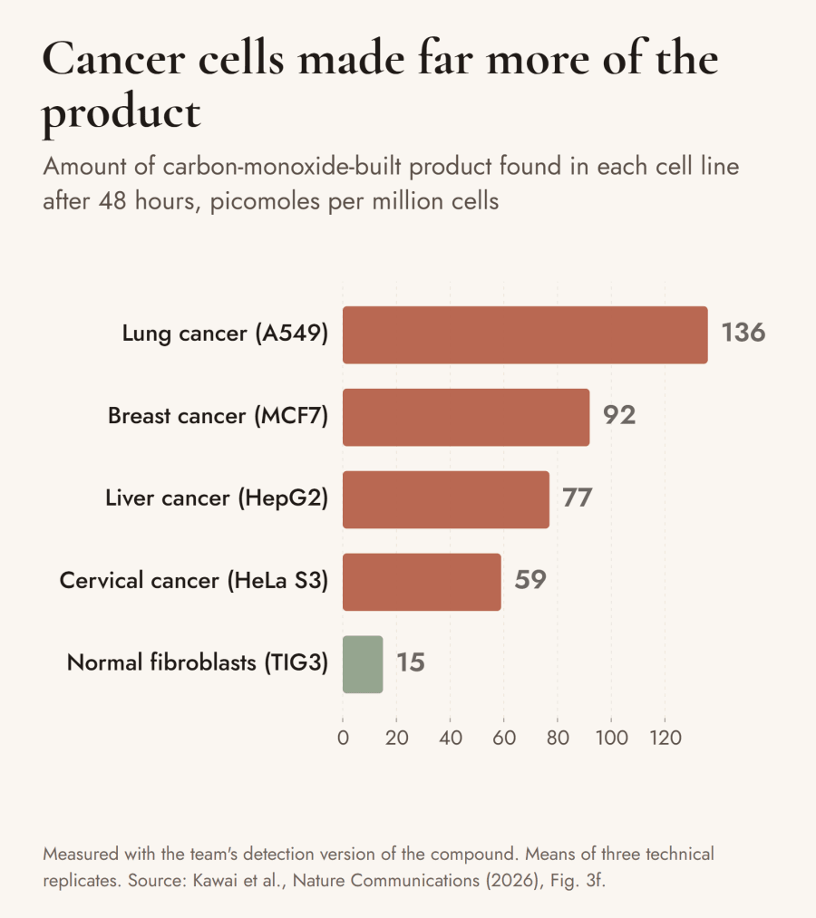 Bar chart of picomoles of product per million cells after 48 hours: lung cancer A549, 136; breast cancer MCF7, 92; liver cancer HepG2, 77; cervical cancer HeLa S3, 59; normal fibroblasts TIG3, 15.