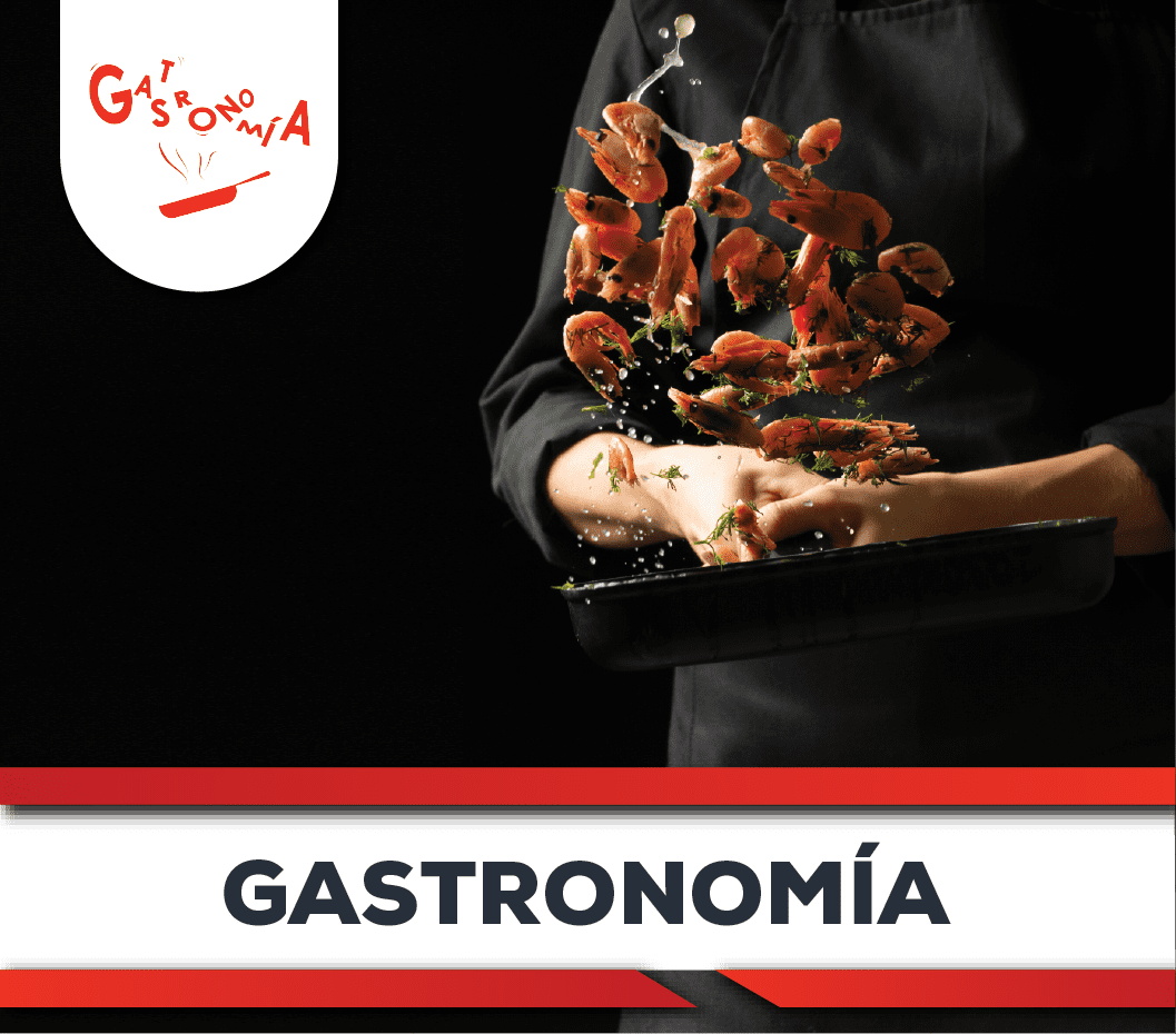 Gastronomía
