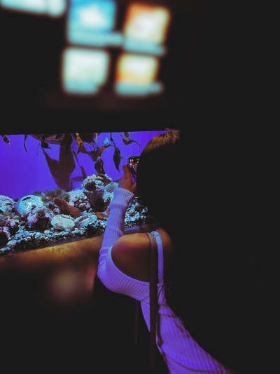 Description of my image