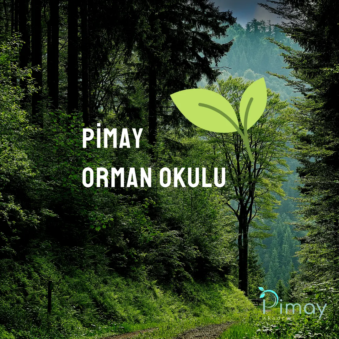 Doğa, Bilim, Sanat ve Eğitim Derneği 1
