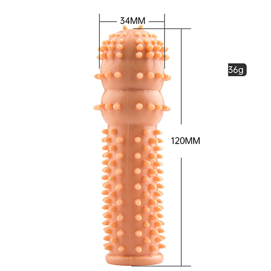 Capa del pene