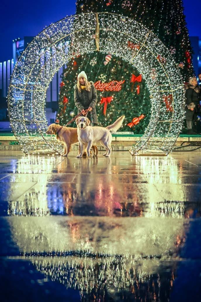 Снимка от Sofia Christmas Fest 19