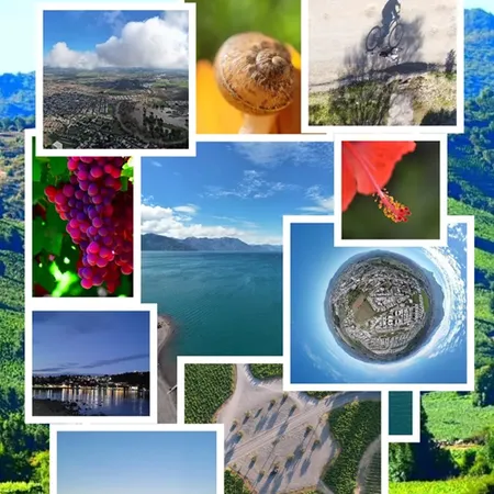 Galería de Fotografías