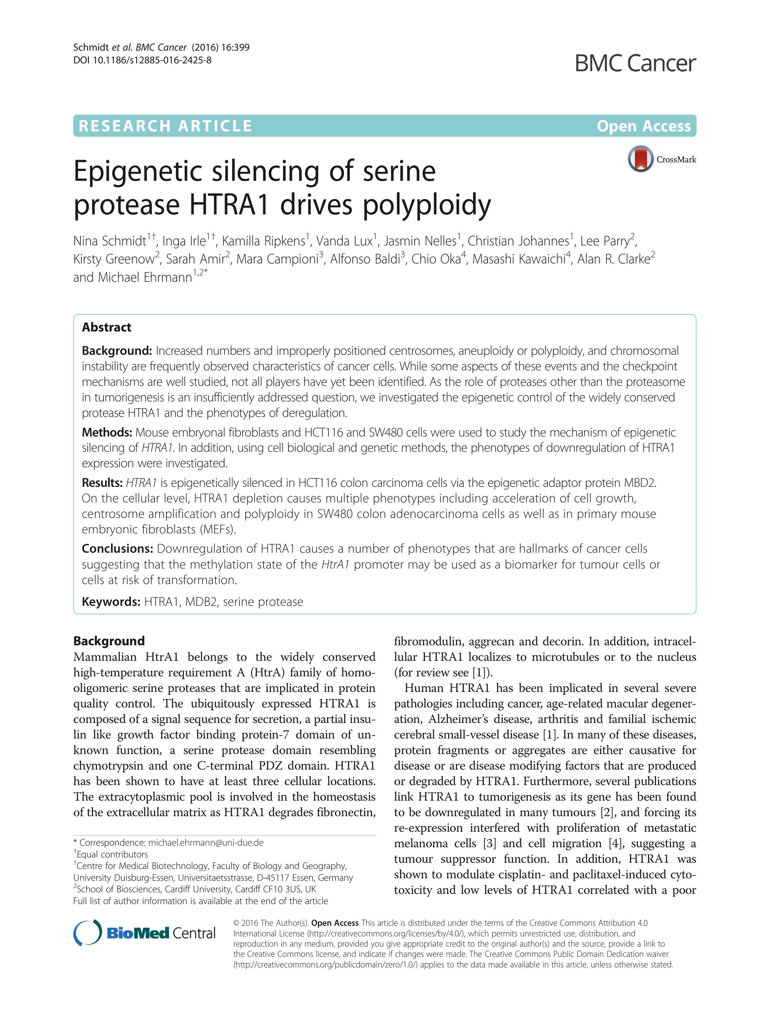 Epigenetic silencing of serine protease HTRA1 drives polyploidy