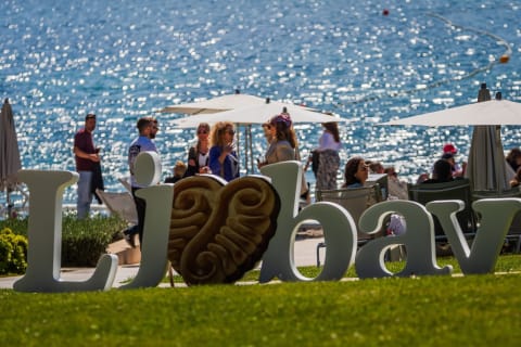 Zvonimir Barišin/PIXSELL