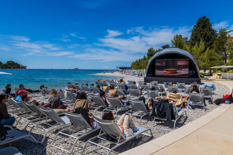 Zvonimir Barišin/PIXSELL